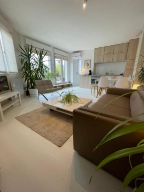 Appartement ,superbe terrasse 40m2 , vieux Lille , centre ville